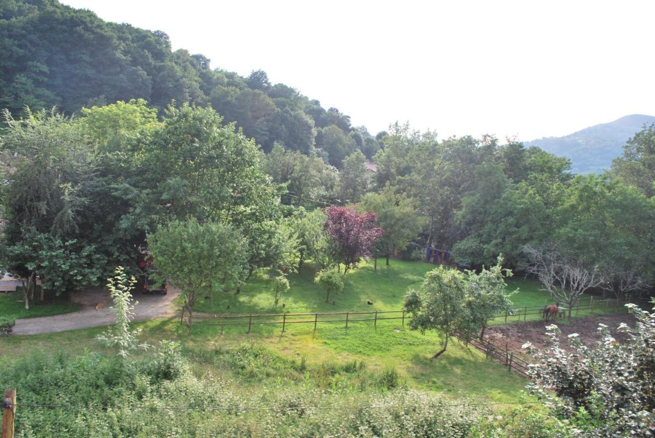 Apartamento Rural Lago Ercina Apartment Cangas de Onis Exterior photo